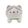 Kanglewu Cartoon cute Tiger plush toy customization, elastic super soft PP cotton ordering and ordering Item Picture